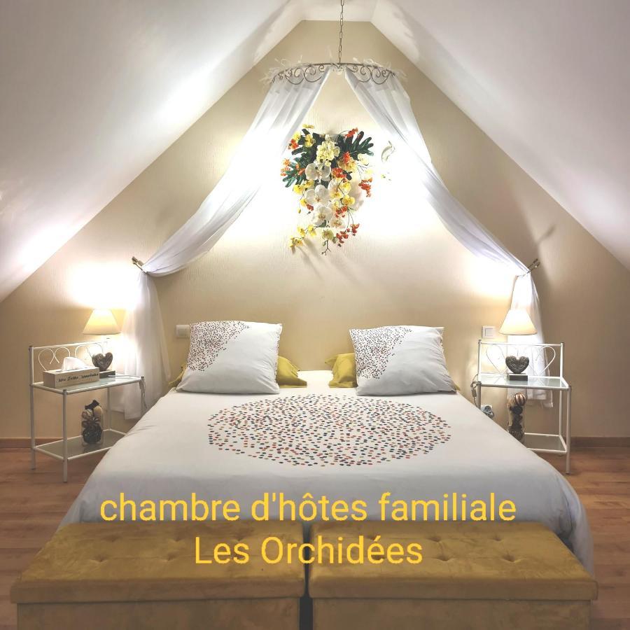 Chambres D'Hotes La Queriere Mur-de-Sologne Rum bild